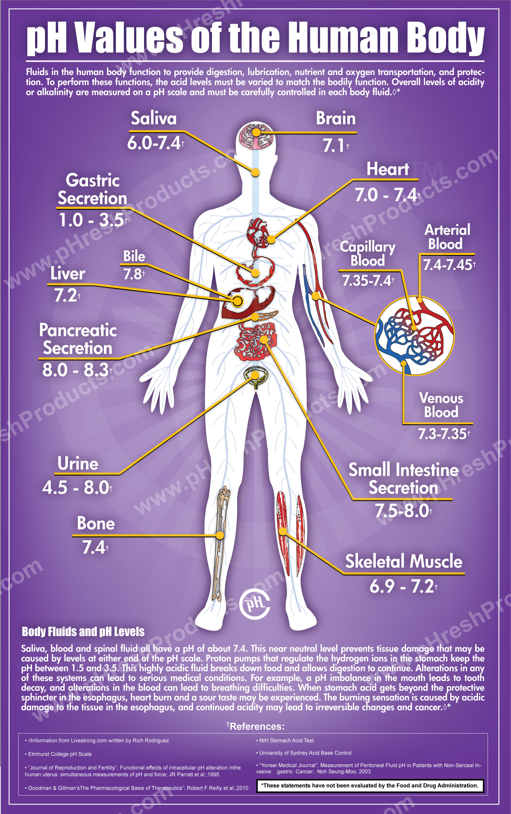 pH in the Human Body